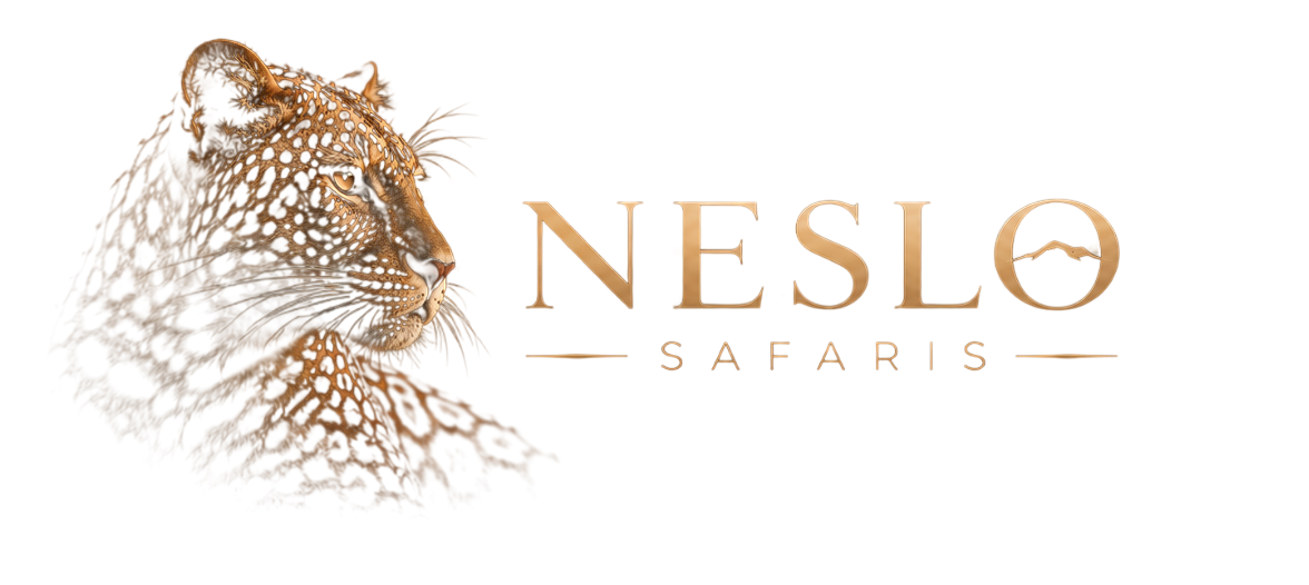 Neslosafaris