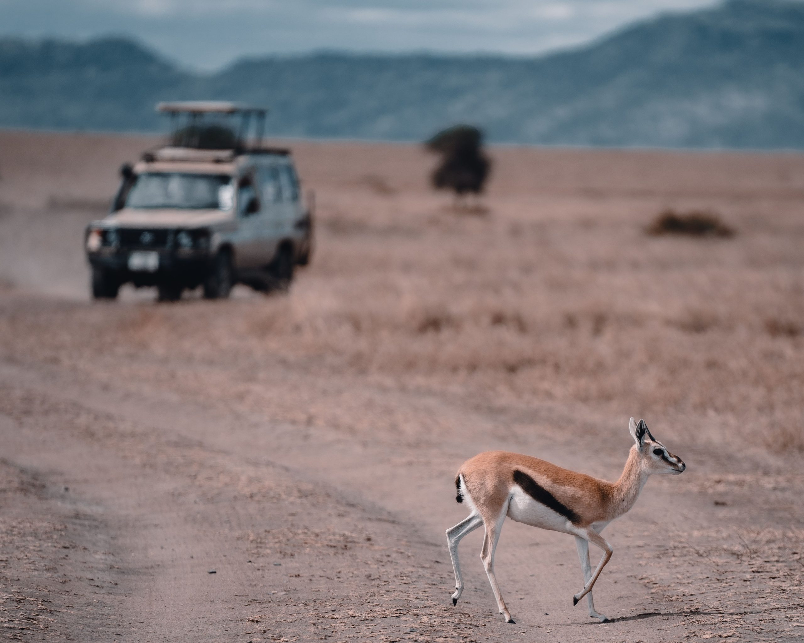 Local ranger and guide by Lake Manyara shoreline