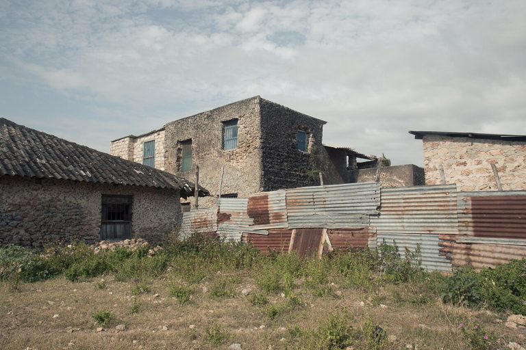 I thought there was something beautiful in these older structures on Wasini Island
